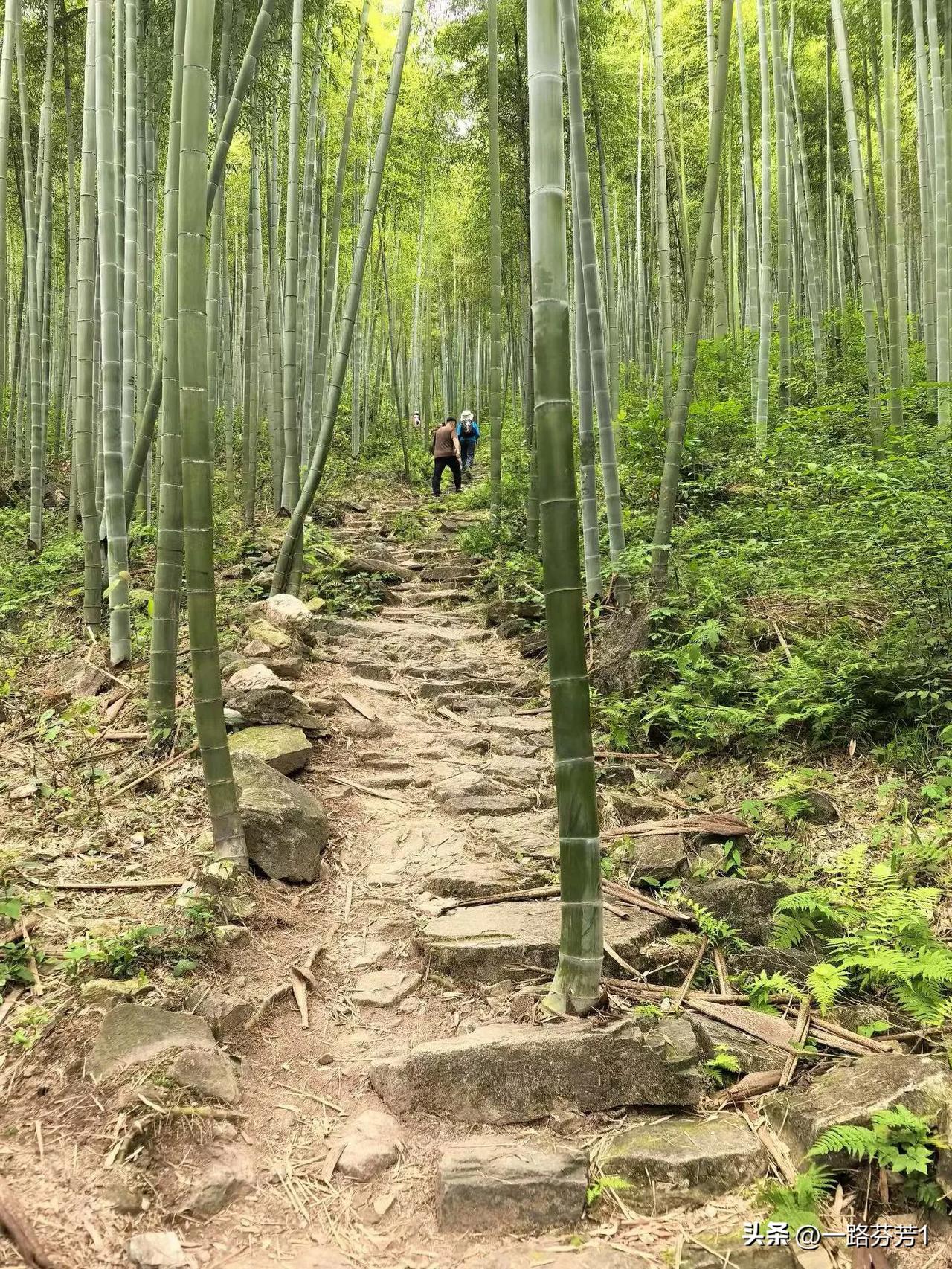 这两天精神有点恍惚，前天八点多下班归来，就接到陆老师电话，小伟的家长打电话来，要