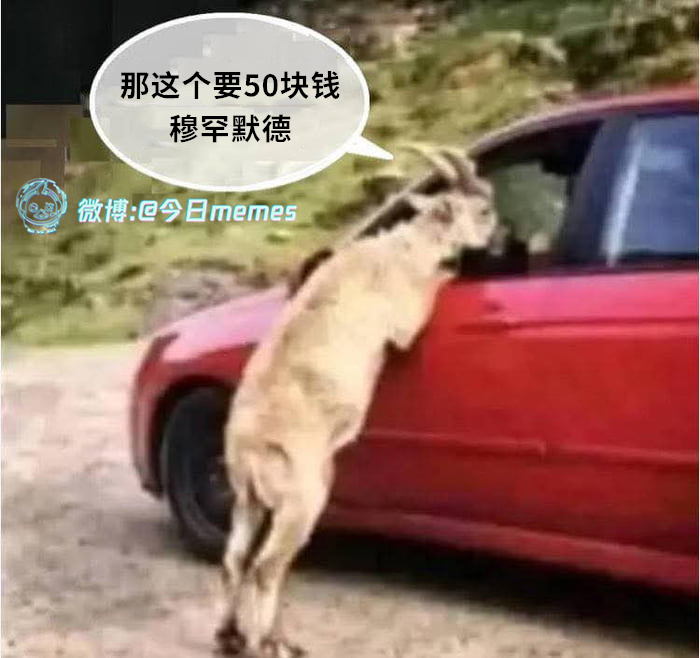 论通用货币（9gag）今日meme[超话] 今日memes ​​​