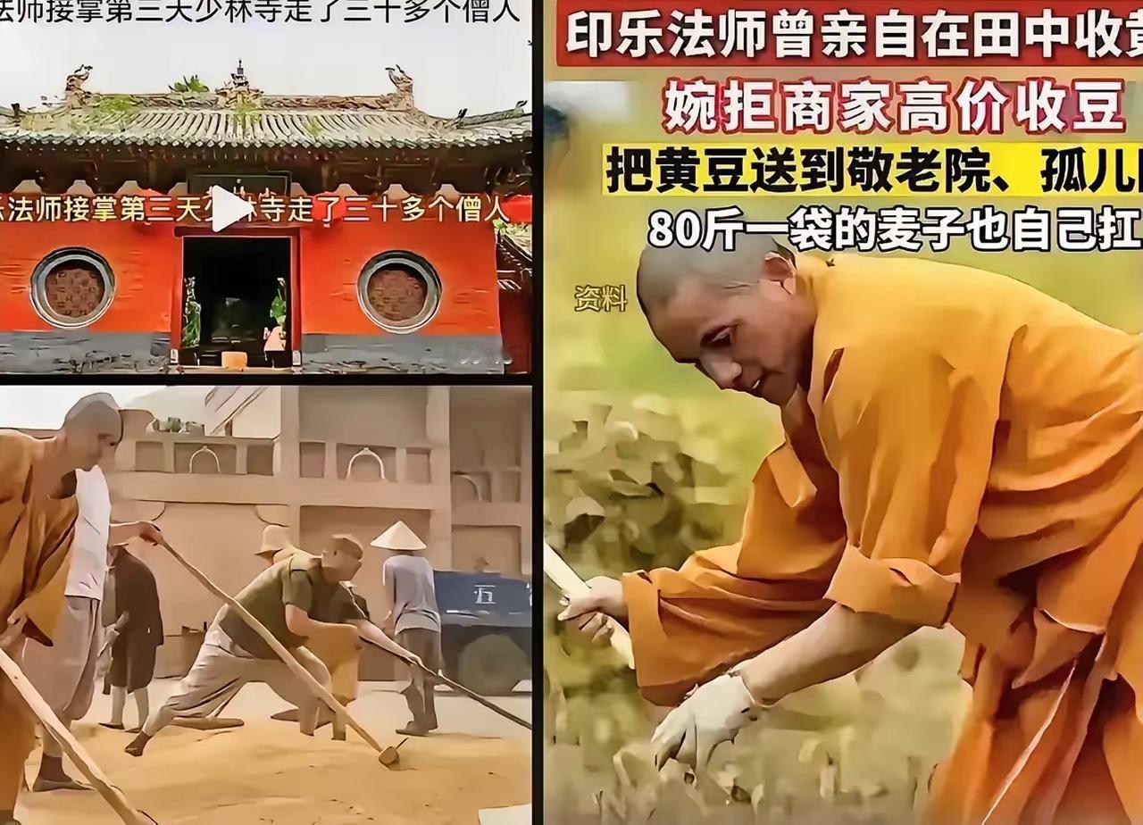 少林寺新的CEO屁股都没坐稳，
就有好些和尚开始跳槽了，
据说第一天就走了30多