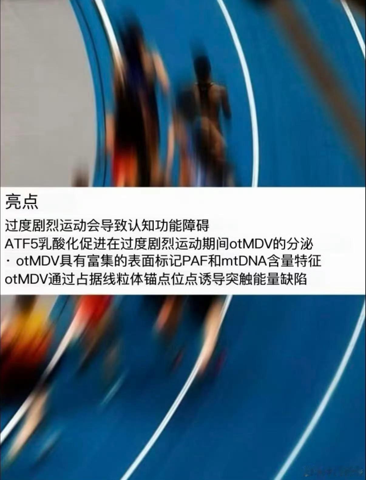 专家称过度运动会导致大脑反应变慢科研团队经过大规模调研得出结论，高强度运动超出合