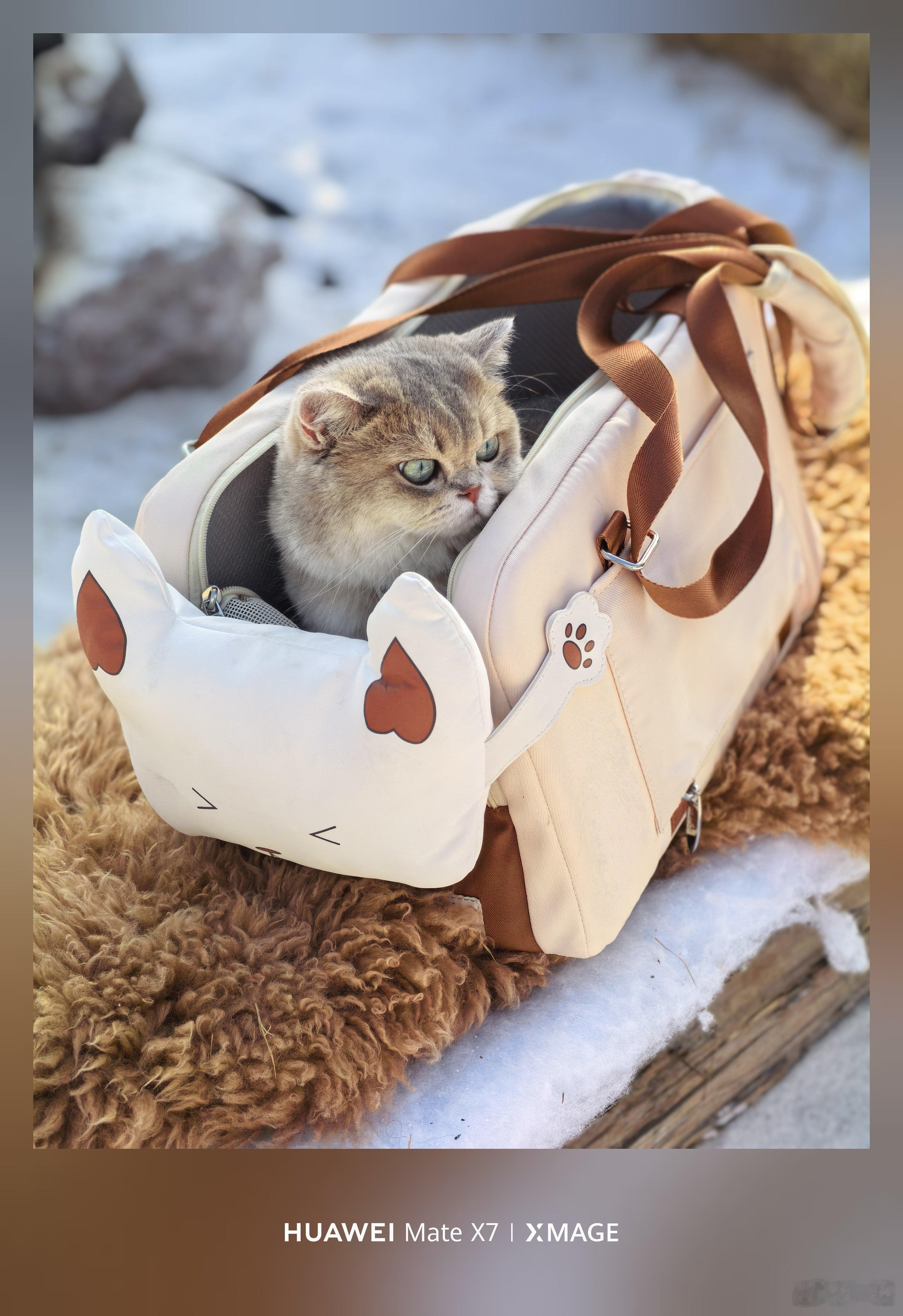 女明星已经到东北了 