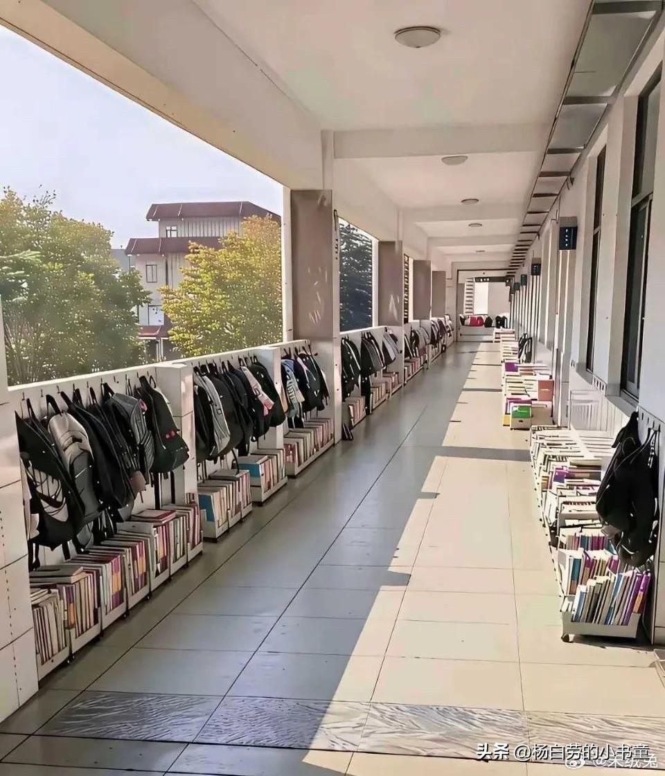 我们这里学校新规定
看起来整齐划一，节约资源
其实遇见刮风下雨
这些书全部泡汤，