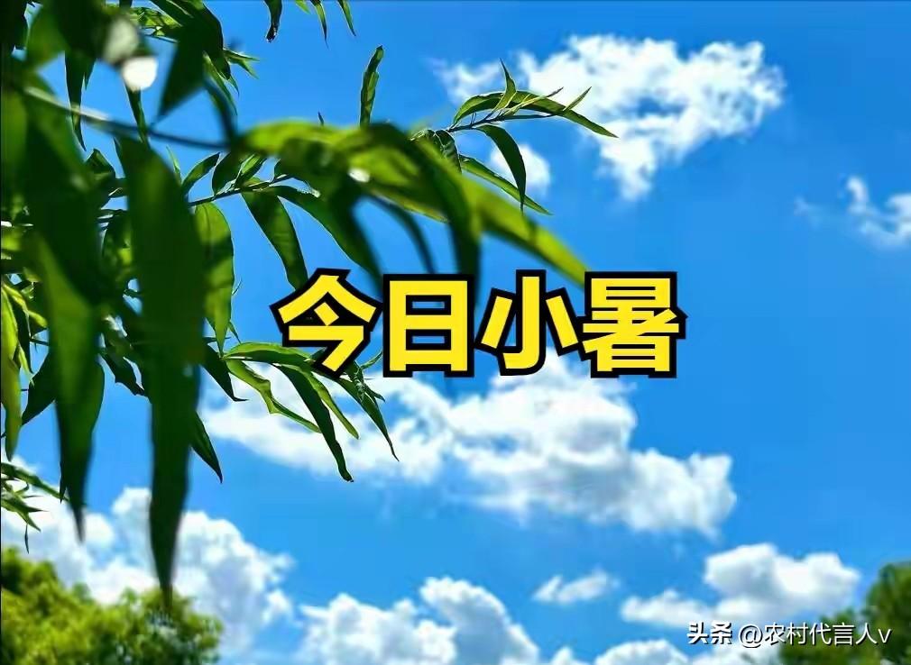 今日小暑，无论有钱没钱，牢记“1要吃，2不洗，3不贪，4要晒”
 
小暑一到，暑
