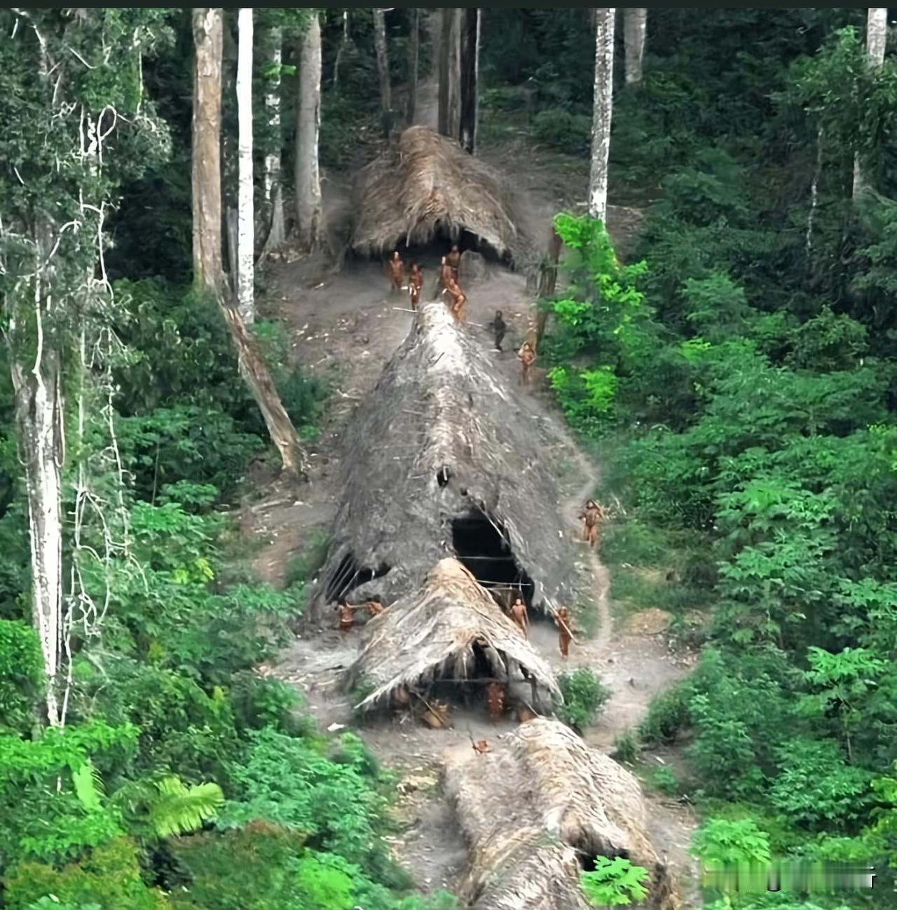 已经 21 世纪了，全球还有 190 多个原始部落，没有与外界接触！

在印度的