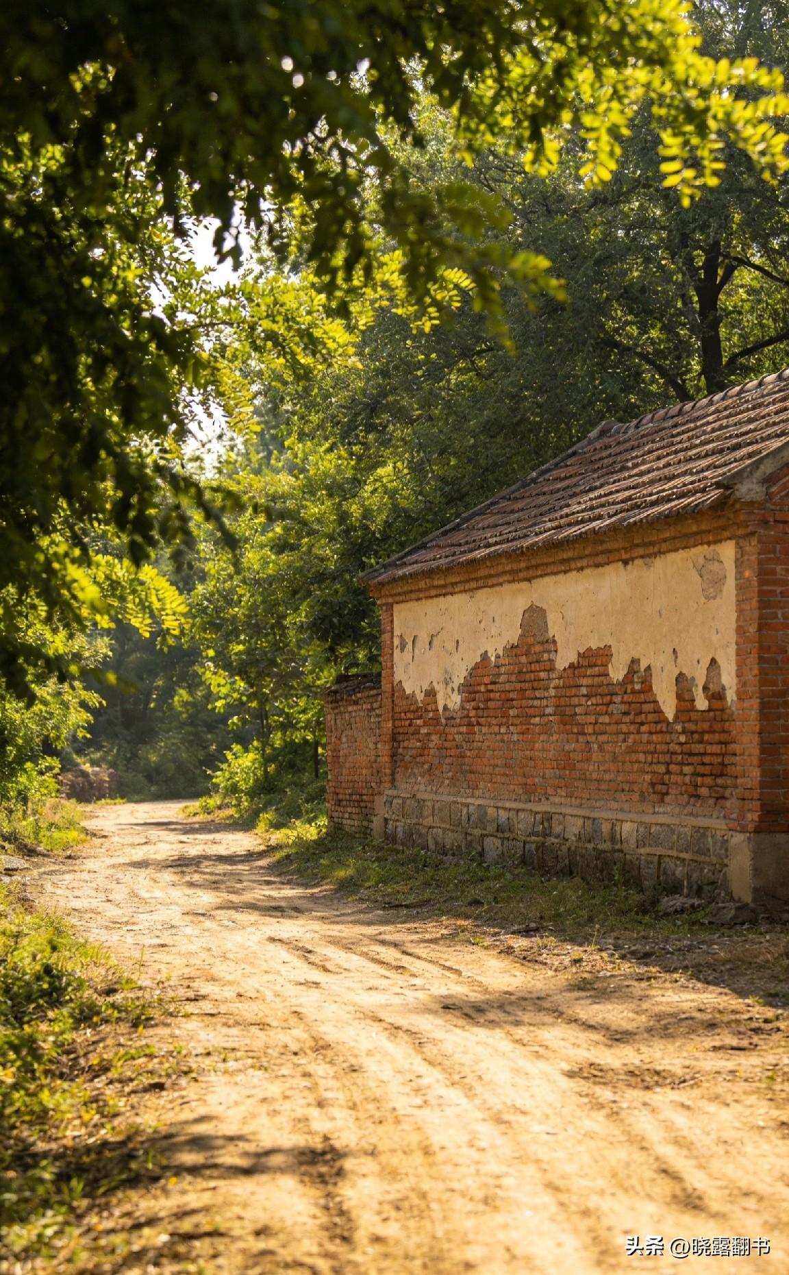 关关难过关关过，半生恩怨，终得释然
 
我一直觉得“老羊马”这个名字奇怪。他家不