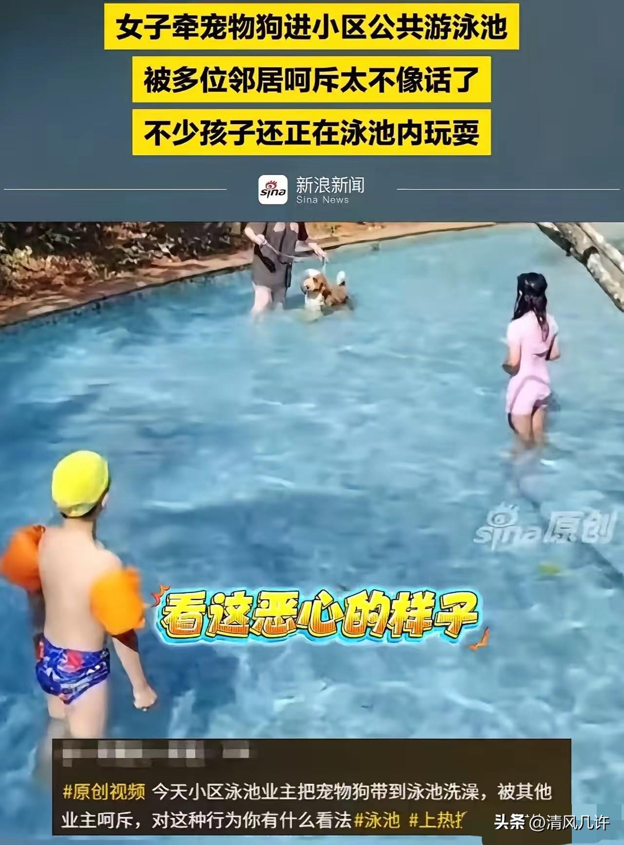 这下怂了！三亚，女子带狗在小区泳池洗澡，邻居们怒斥她“太缺德了，怎么能把狗带进泳