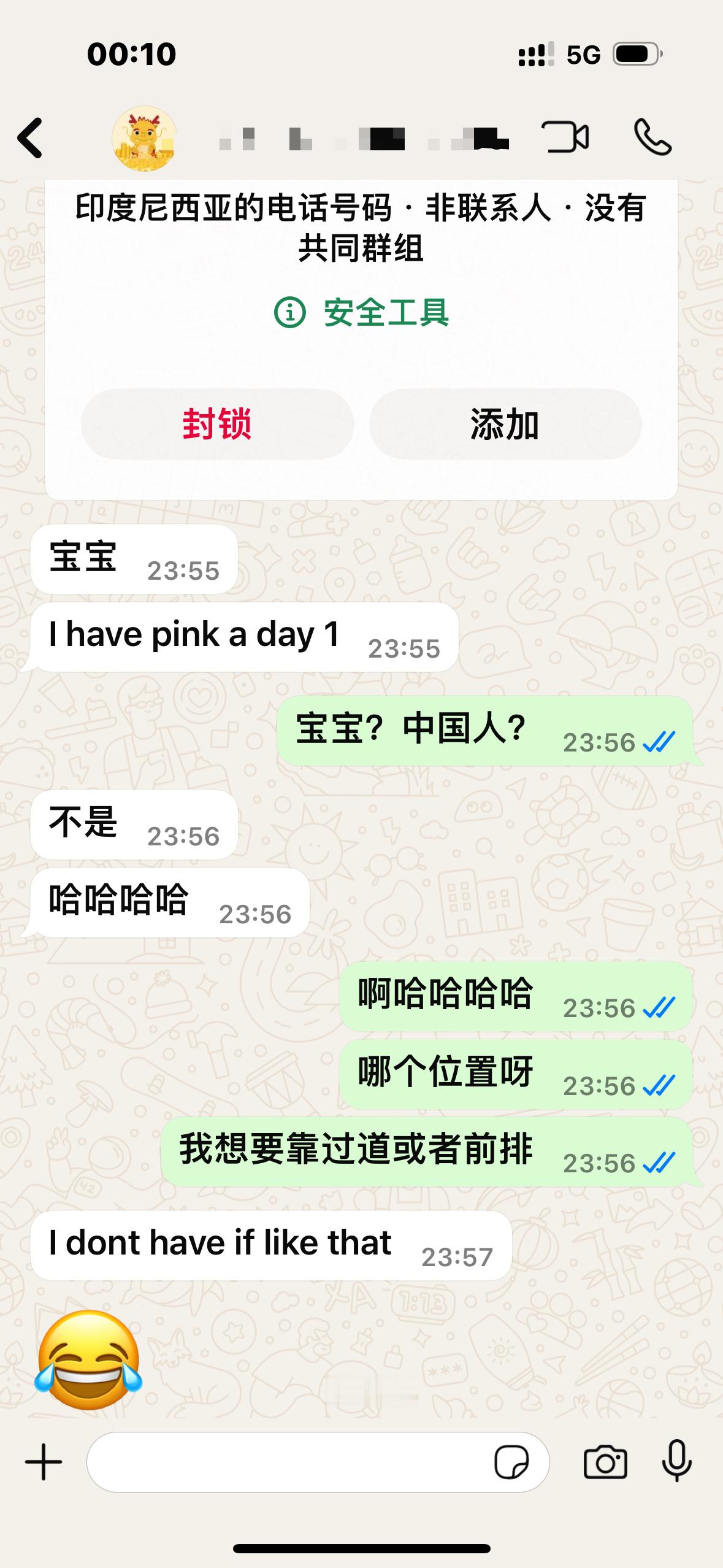 全世界都在说中国话 