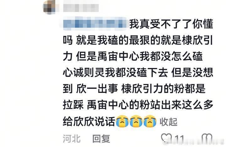 都被自己同担打成唯粉了你跟我说棣欣引力在拉踩？？那我也要说一句我可没看到猪油帮虞