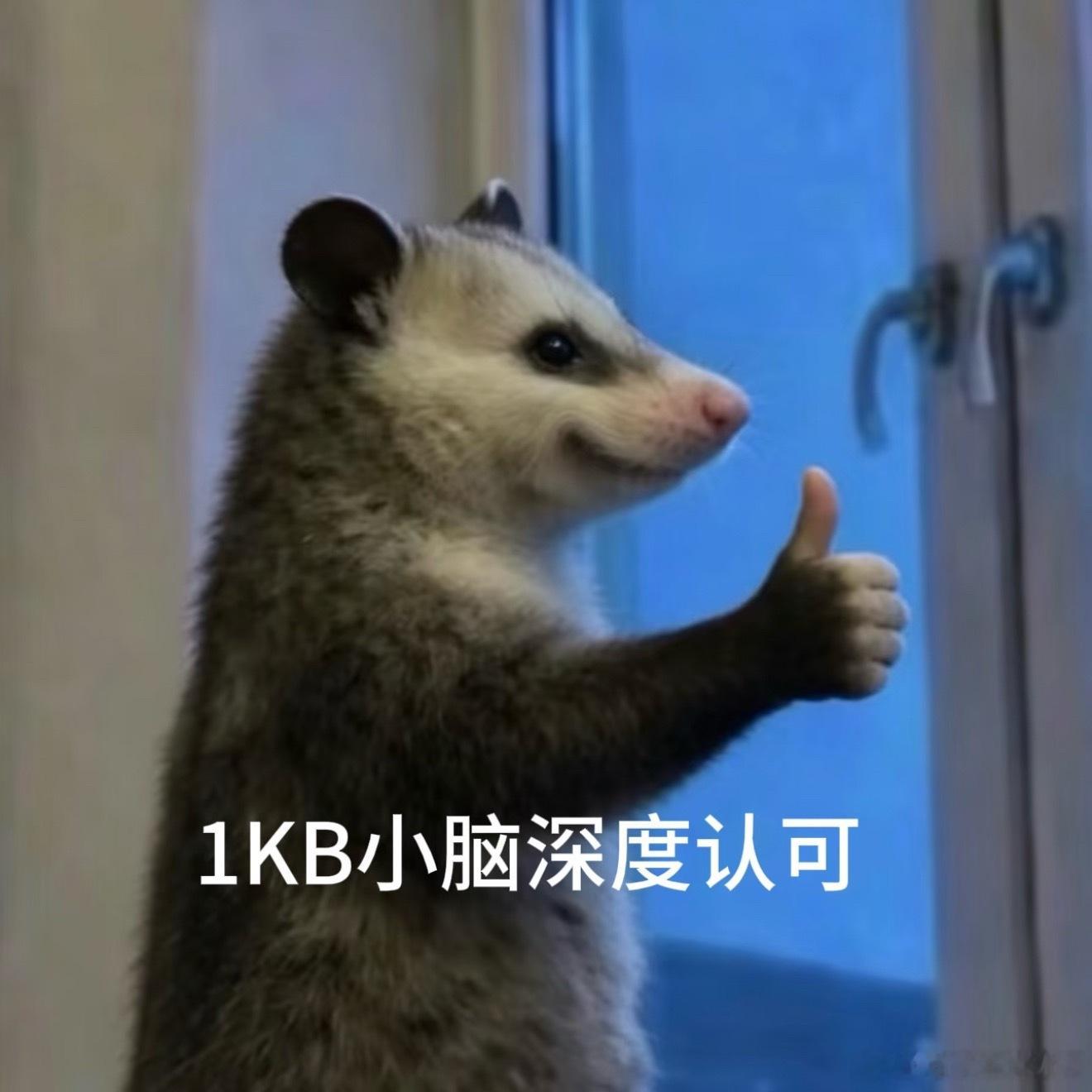 更别在周末提，好不容易休息两天真的没空去难过。一定要分那最好是在小长假第一天，还