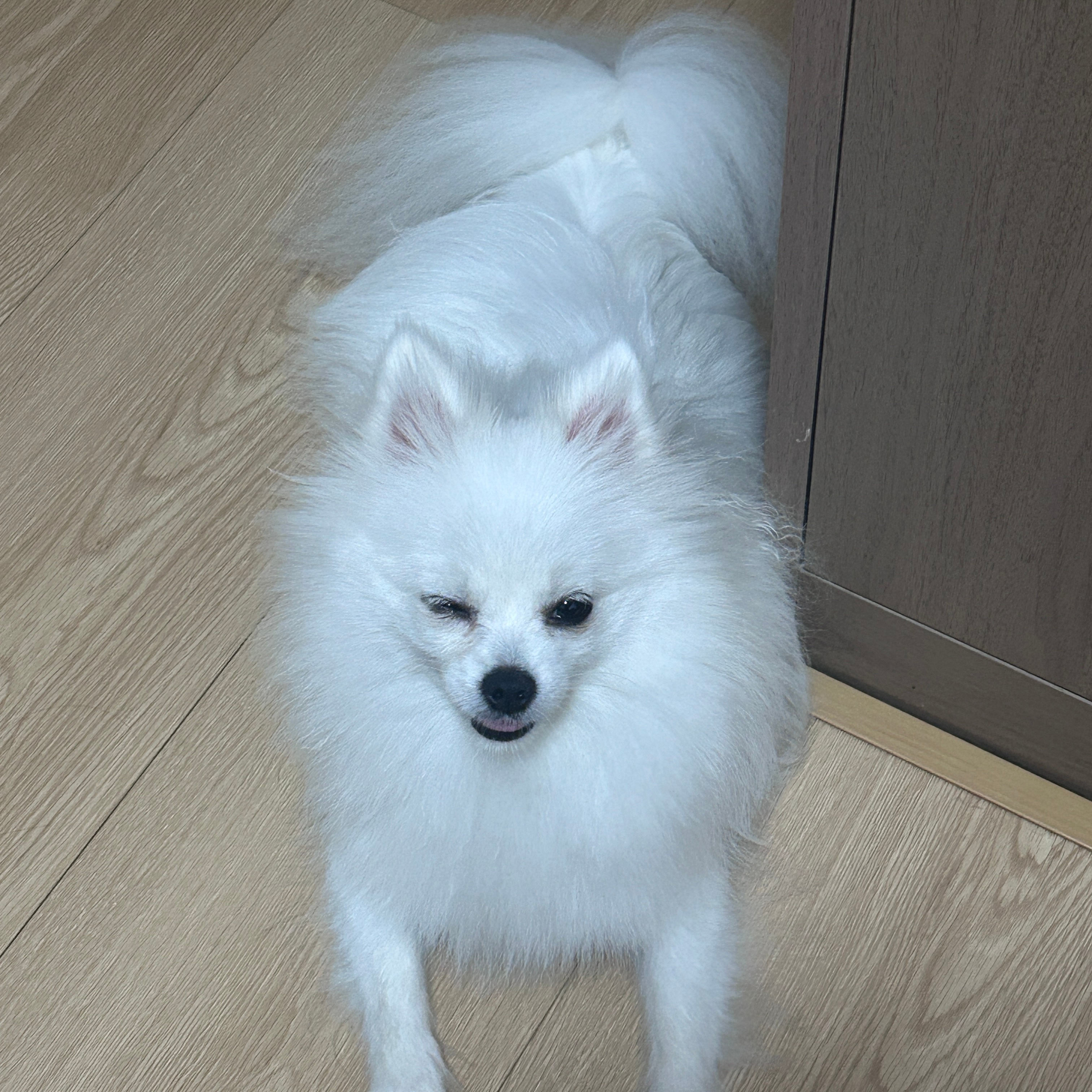 wink～ 