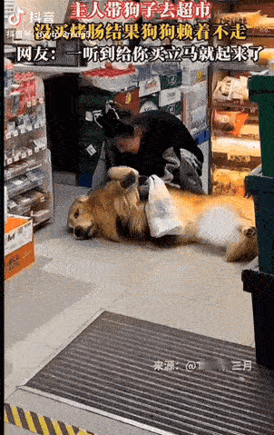 江苏，一狗主人带狗狗去逛超市，它撒娇卖萌想要主人买香肠，但是主人觉得它最近零食吃