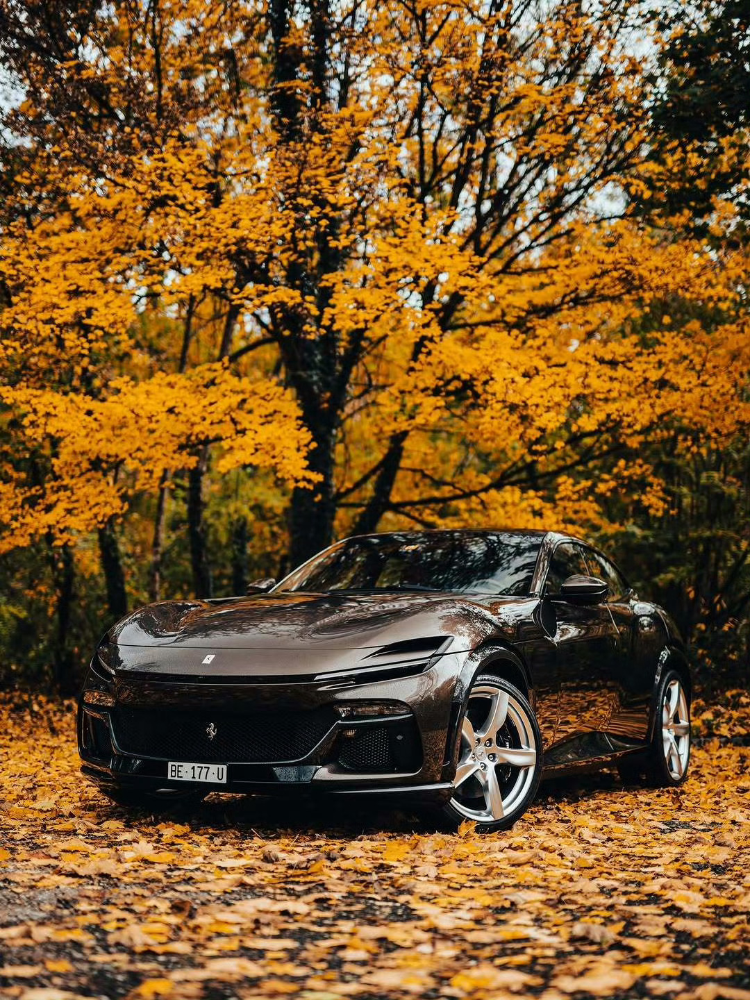 法拉利 Purosangue 