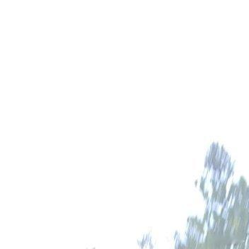 #日行一善[超话]# 你走过的路，会成为回忆里的风景；你所有经历，会成为你的财富