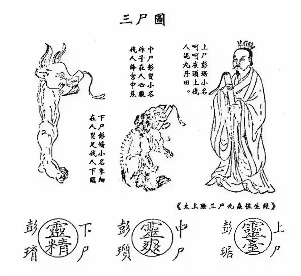 三尸神，是道教传说中寄生在人身体的神灵，只有等人睡着了或者死亡之后三尸神才能出来