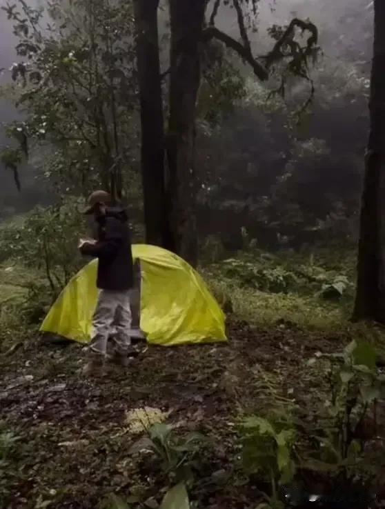 这种为了流量的网红博主，必须要封号，否则这种情况会越来越多！为了流量，置个人安危