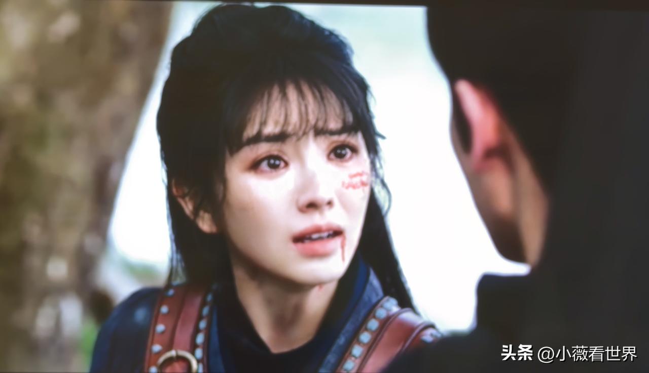 当真相大白，当那个自己认为的夫婿竟然是威风凛凛的武安侯策马而来，樊长玉由惊愕到不