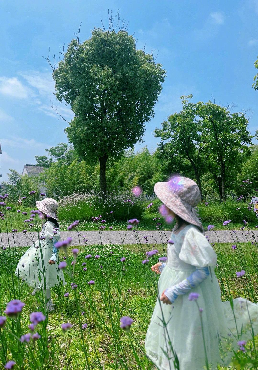 谢娜跳跳俏俏八岁啦谢娜跳跳俏俏八岁啦 