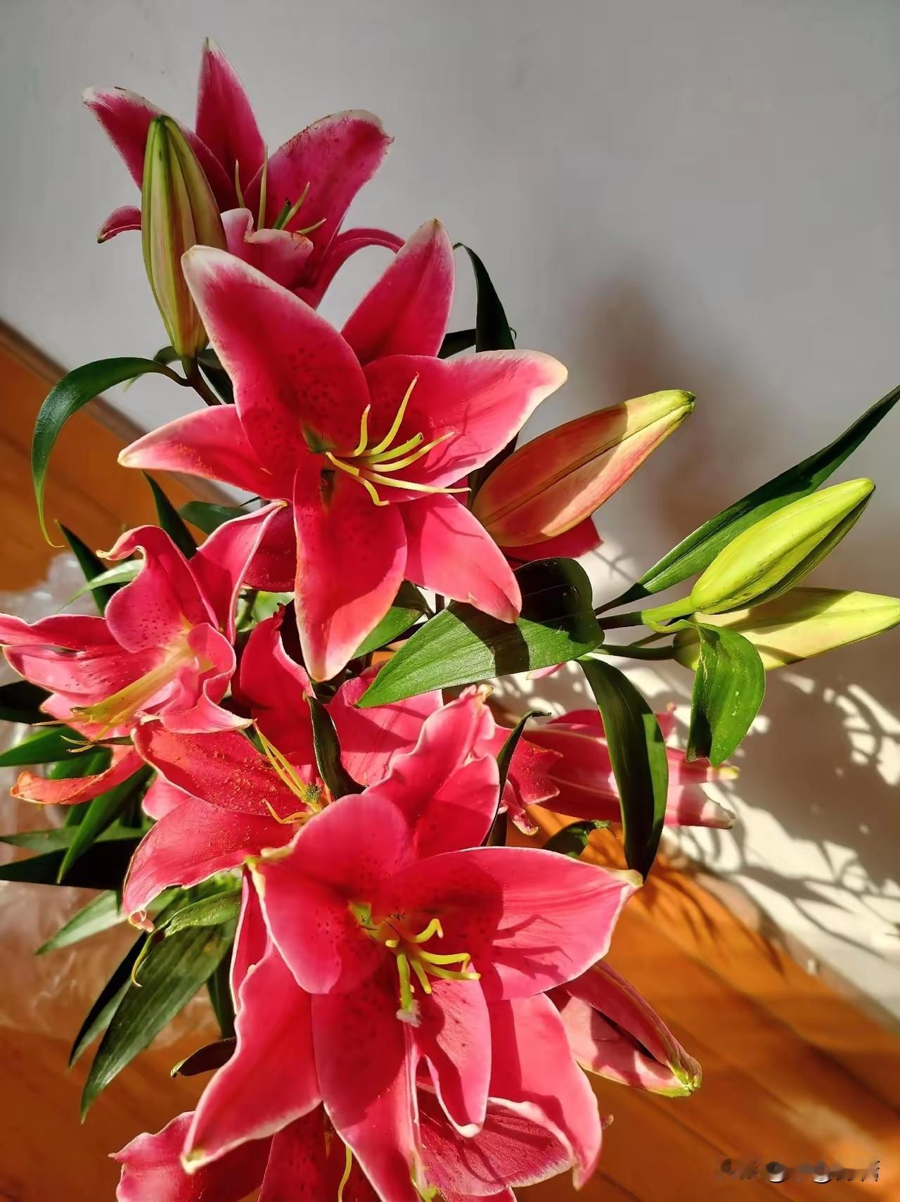 人生的顶级配置
 
1. 健康的身体
不只是无病，而是精力充沛、情绪稳定、能扛事