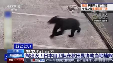 日本决定允许警察射杀熊熊也有生存的权利，请尊重每一条鲜活的生命。[不愧是你]小动