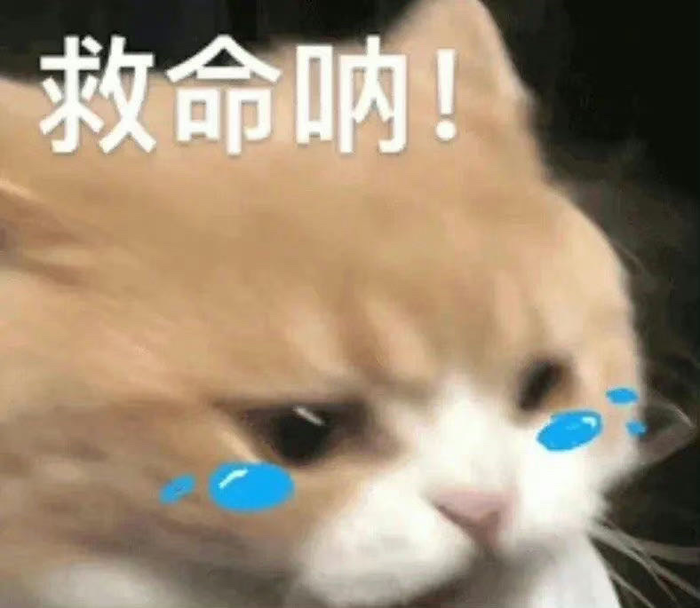 山河枕你什么时候播 ​​​