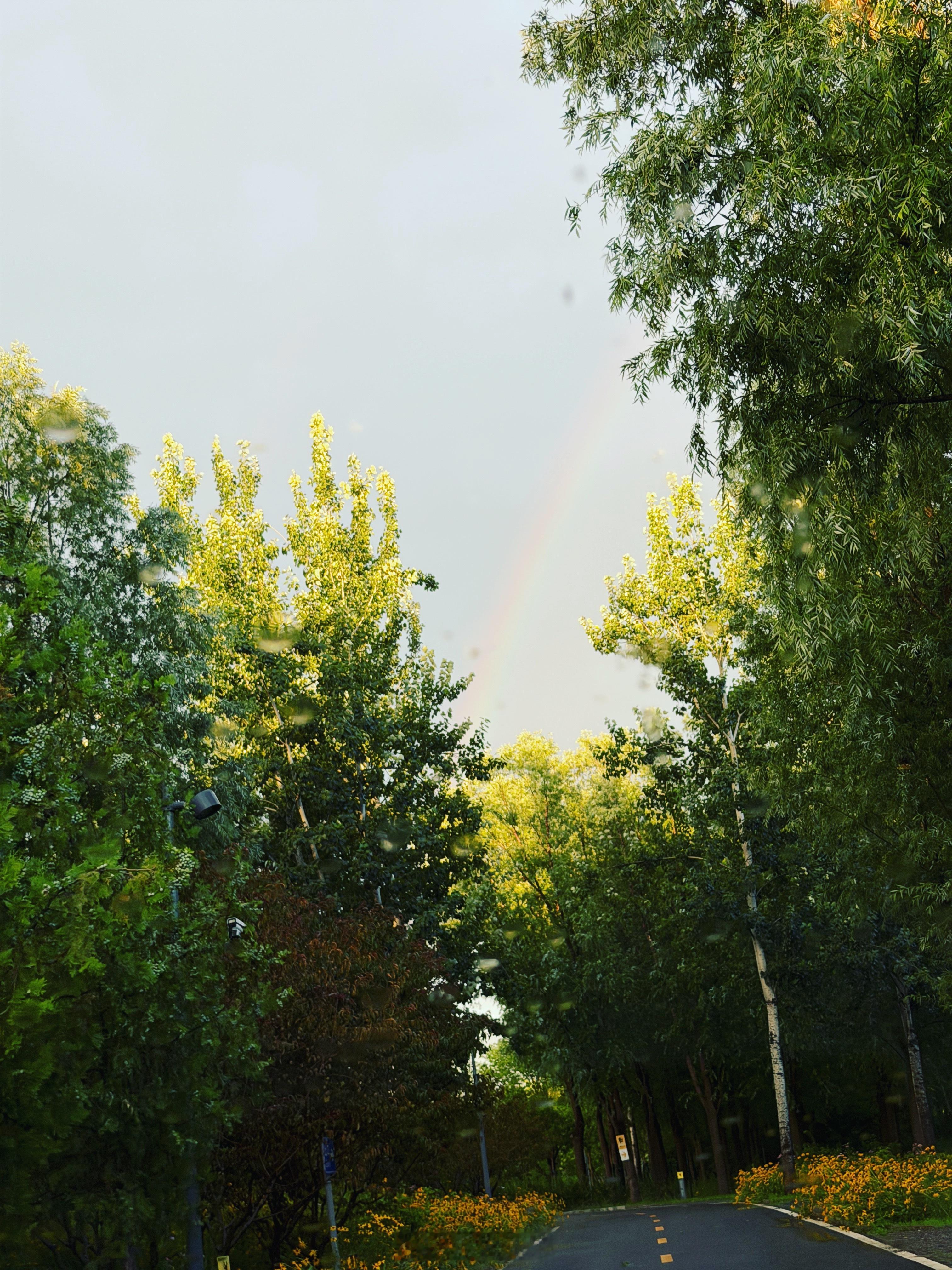 北京雨后再现绝美双彩虹看见一条彩虹好久没见过了 
