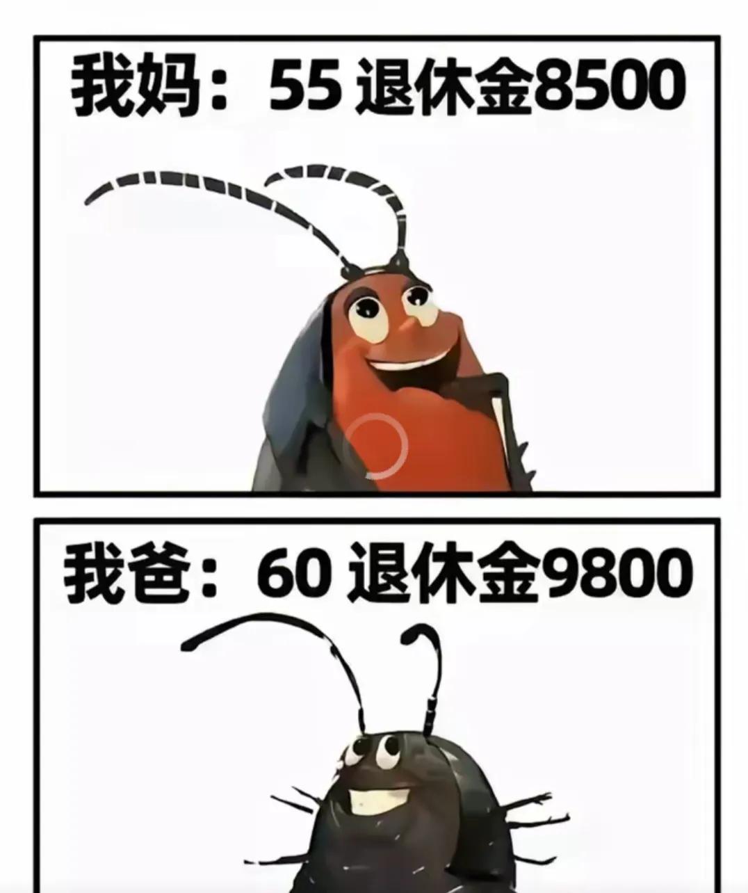 老铁们，我是不是不用上班了😂