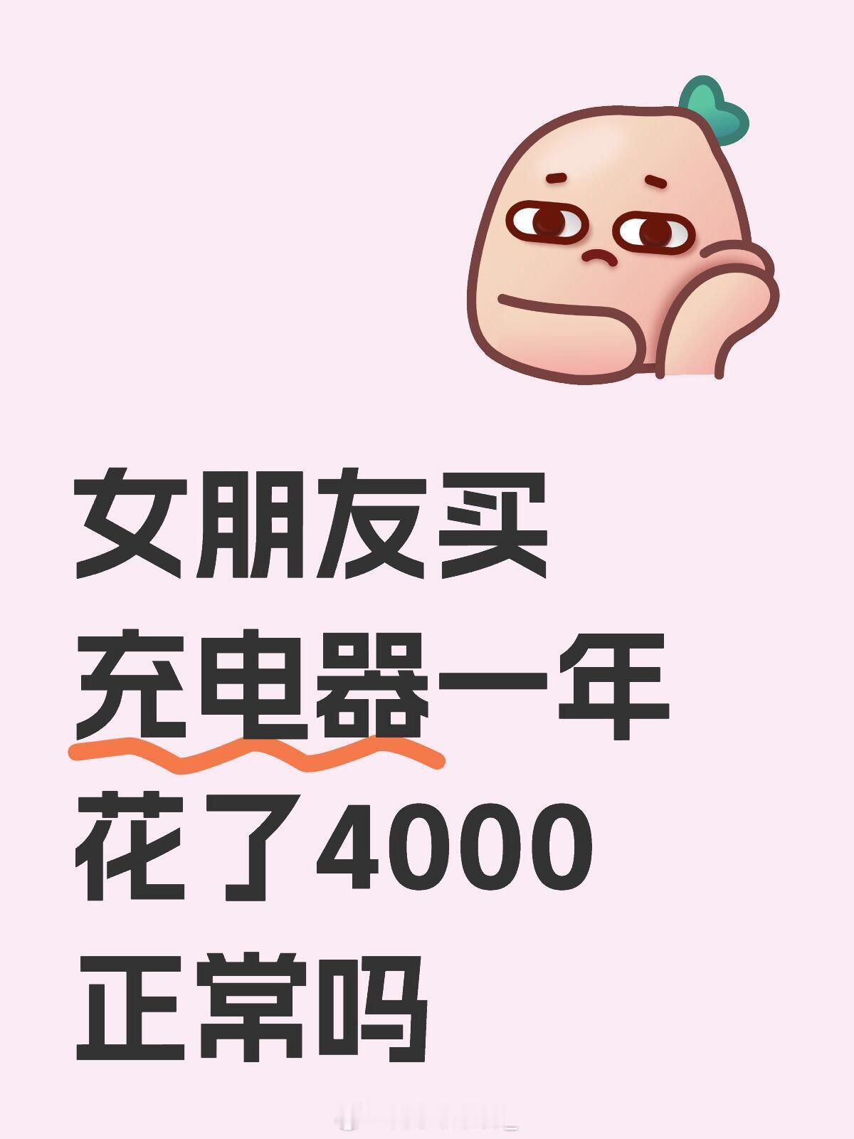 女朋友买充电器一年花了4000正常吗 