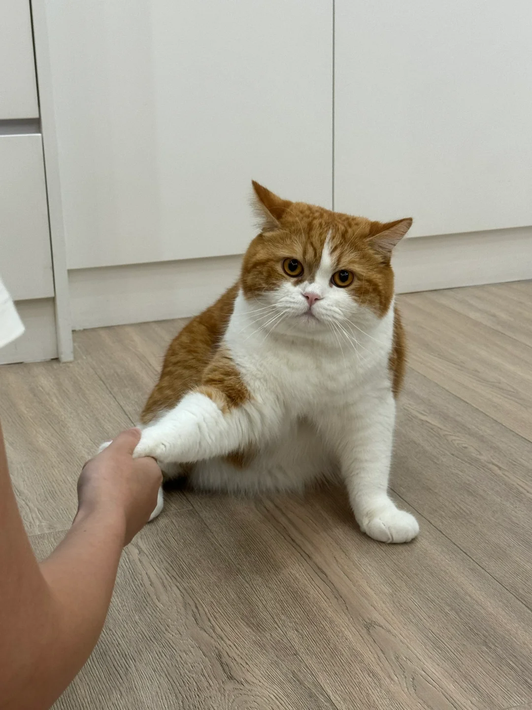 爸！你管管她！她扒拉我！