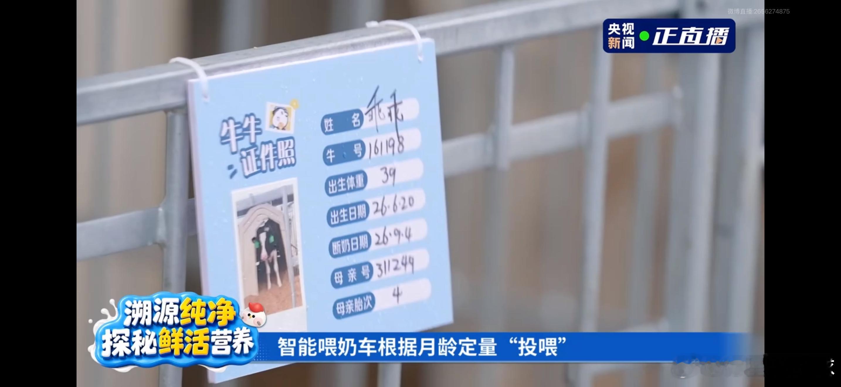 唐艺昕刘畊宏浪姐披哥同台养牛堪比精细育儿，飞鹤真的做到极致。奶牛伙食精心调配，喝
