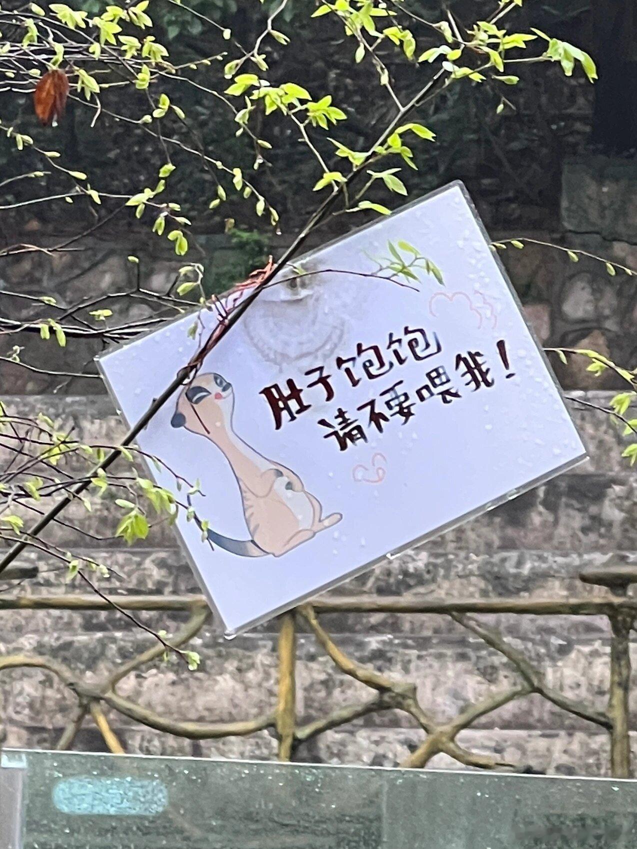 #私自投喂会对动物们造成多大伤害#大自然有自己的生存法则，不要轻易破坏它，你人为