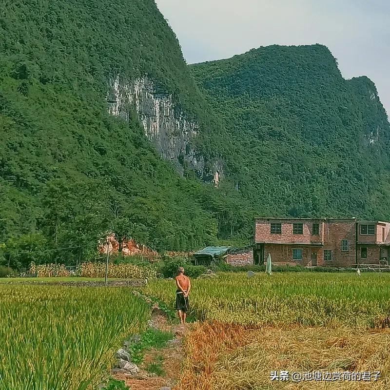 农村人还能靠山吃山,靠水吃水吗? 农村人当然还能靠山吃山，靠水吃水！2026年乡