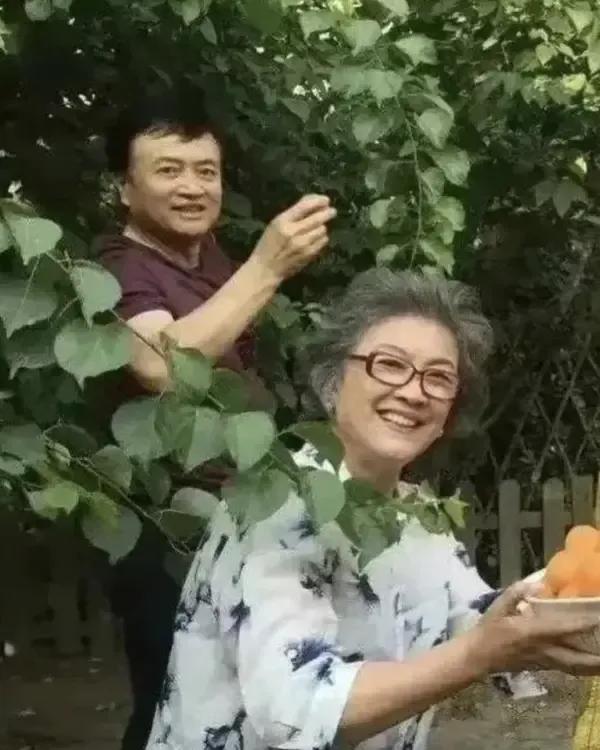 刘信义和唐国强同龄还是同乡，八十年代也是个帅哥，但名气不能和唐国强比
影响最大的