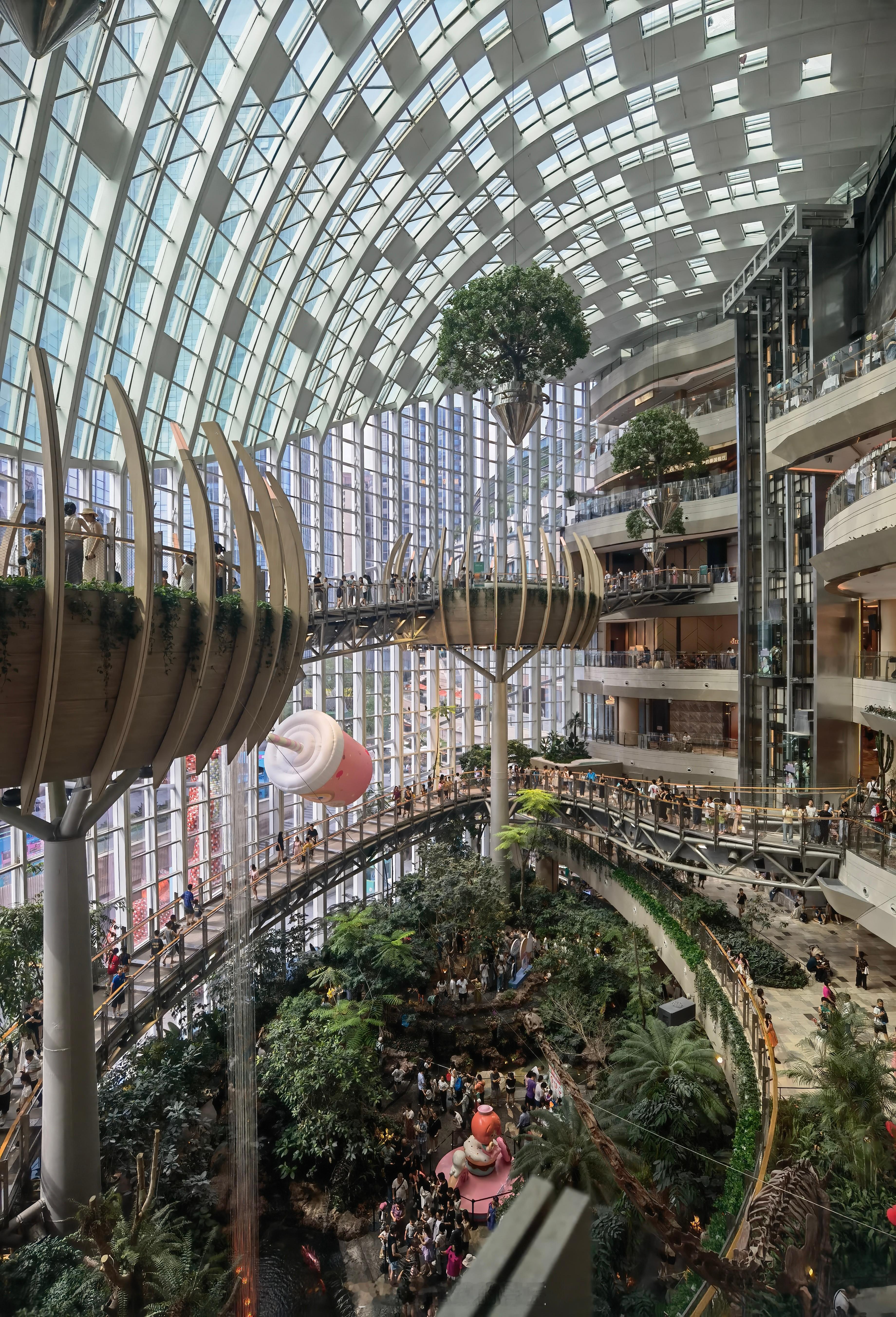 这种天就比较适合室内活动，看看绿植吃吃火锅… ​​​