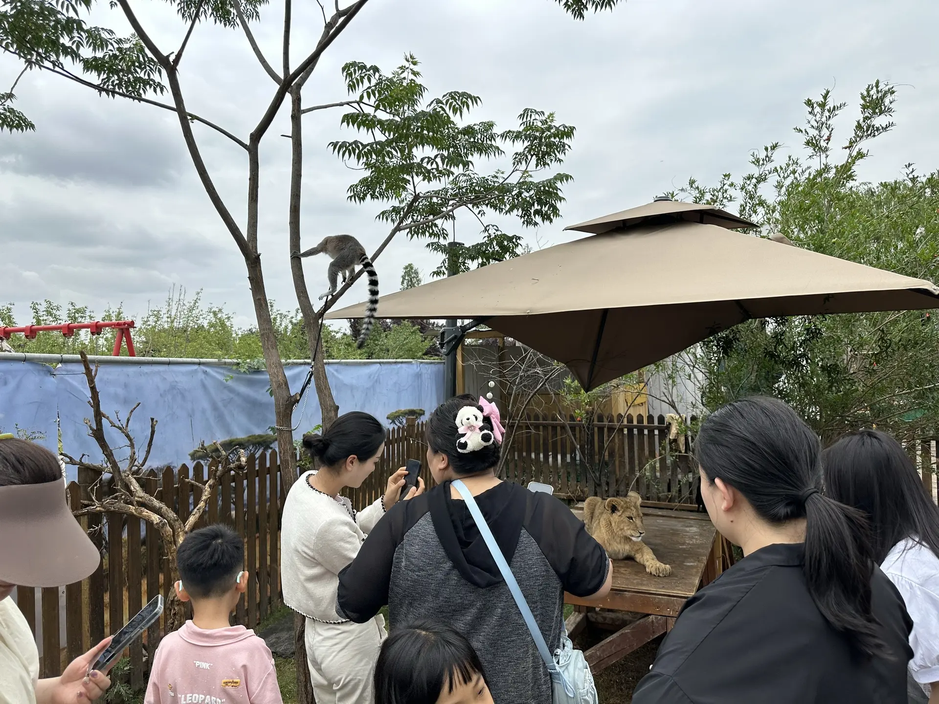 天咨询下雨天能不能来的小伙伴快来吧🌞。天气很好👍不用考虑下雨打伞了哈哈哈哈哈
