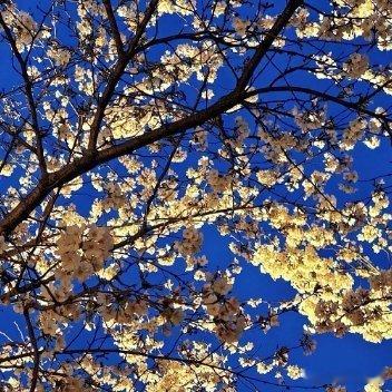 每日一善善良是一种修养，善待他人就是善待自己，要想得到别人的爱，首先要学会爱别人