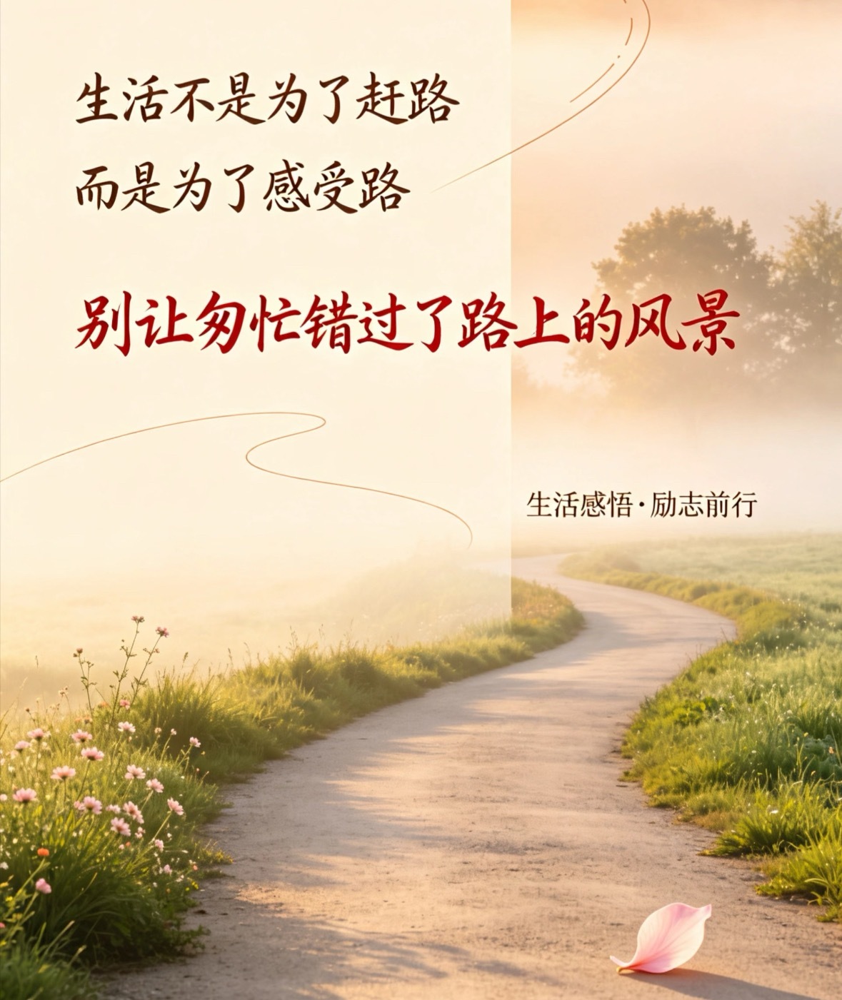 每日一善🌱阳光信用 🌱每日一善☀️极好784， 欢迎一起互动原来，温柔真的是