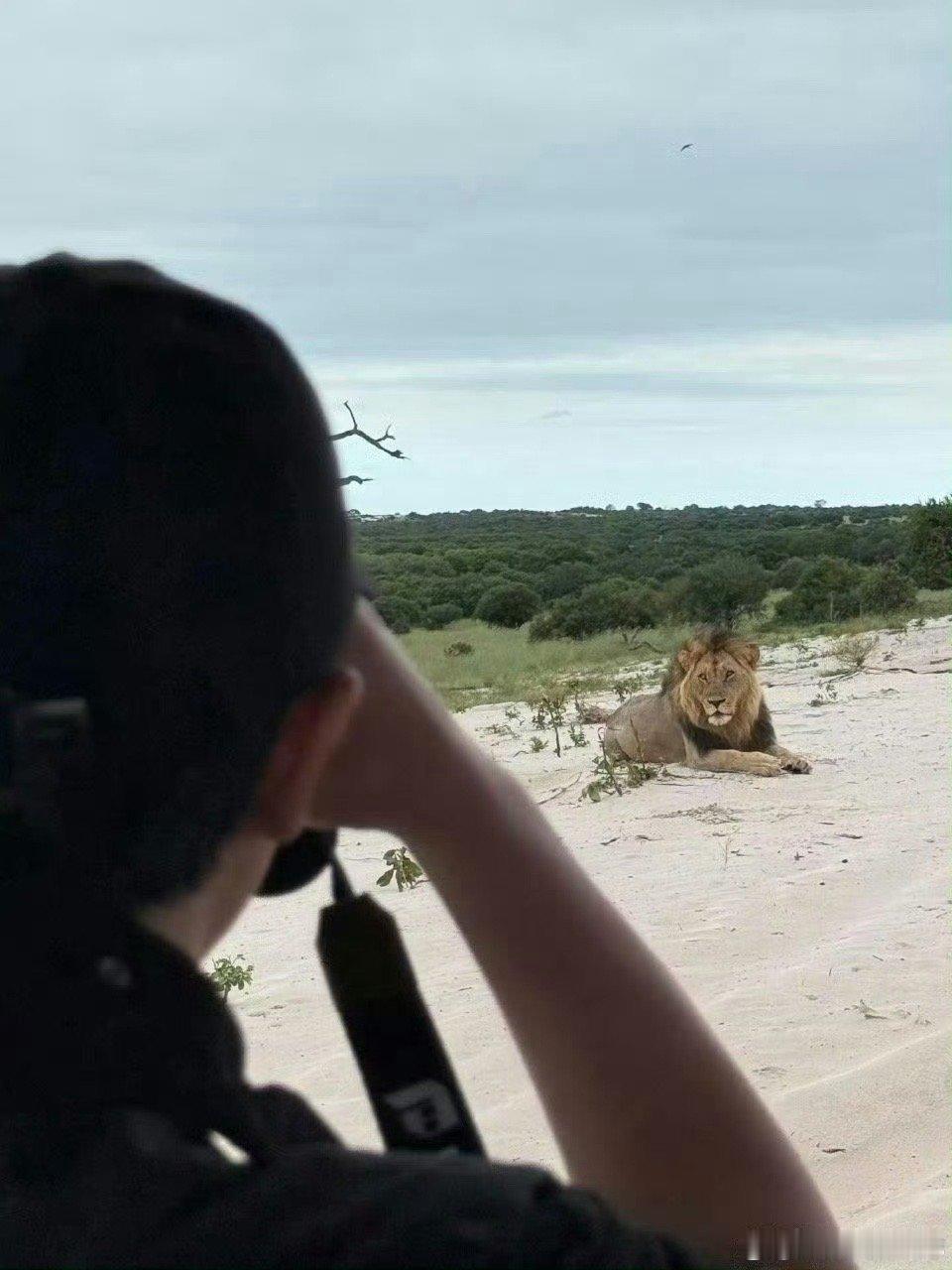 偶遇黄轩与女友在南非旅游 黄轩带着女友在南非度假，男帅女美同框好登对。恋爱多年始