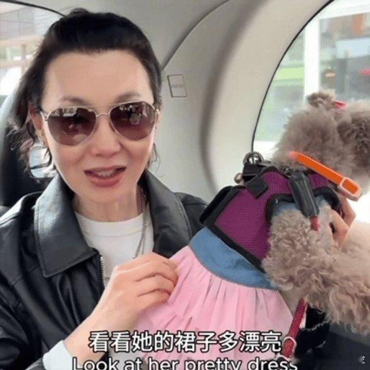 张曼玉牵狗上班这才是理想生活的模样啊🌟而且张曼玉到现在状态都好好 