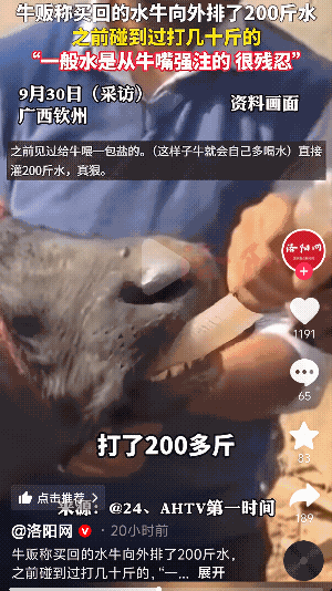 “没人性呀”
广西钦州，一男子去收牛，没想到买回来的牛一直向外排水，排出来的水竟