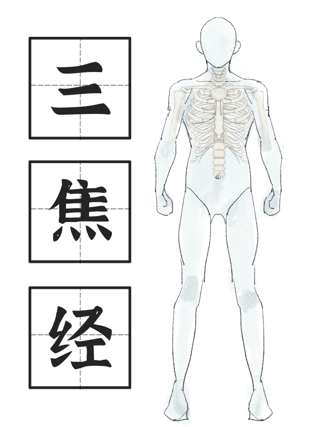 什么是三焦🌟