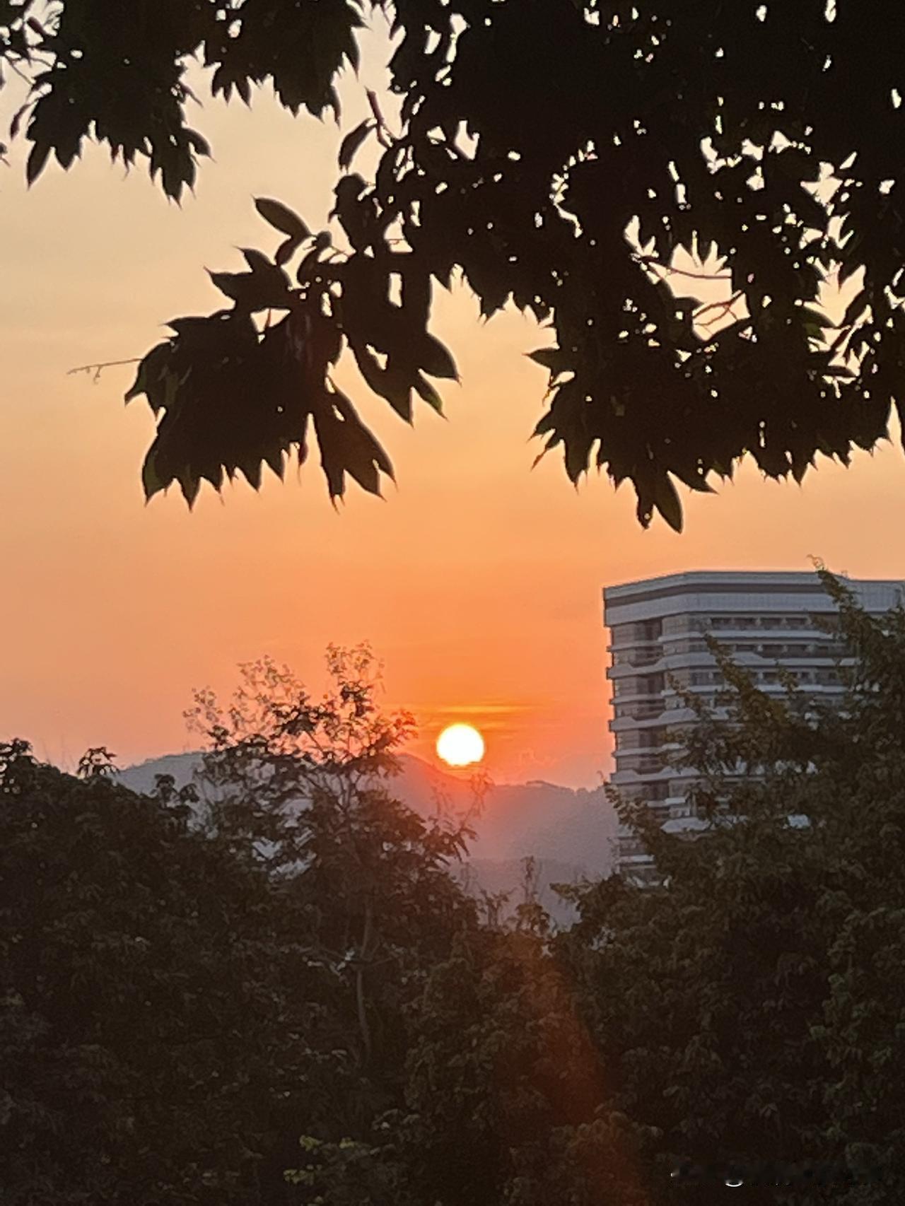 一个人在孤独时，就会爱上看日落。
小王子严肃地说：“有一天，我看了44次日落！”