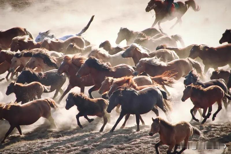 我正在参与天南地北大拜年活动，每日完成任务就有机会瓜分 80 万现金红包，最高能