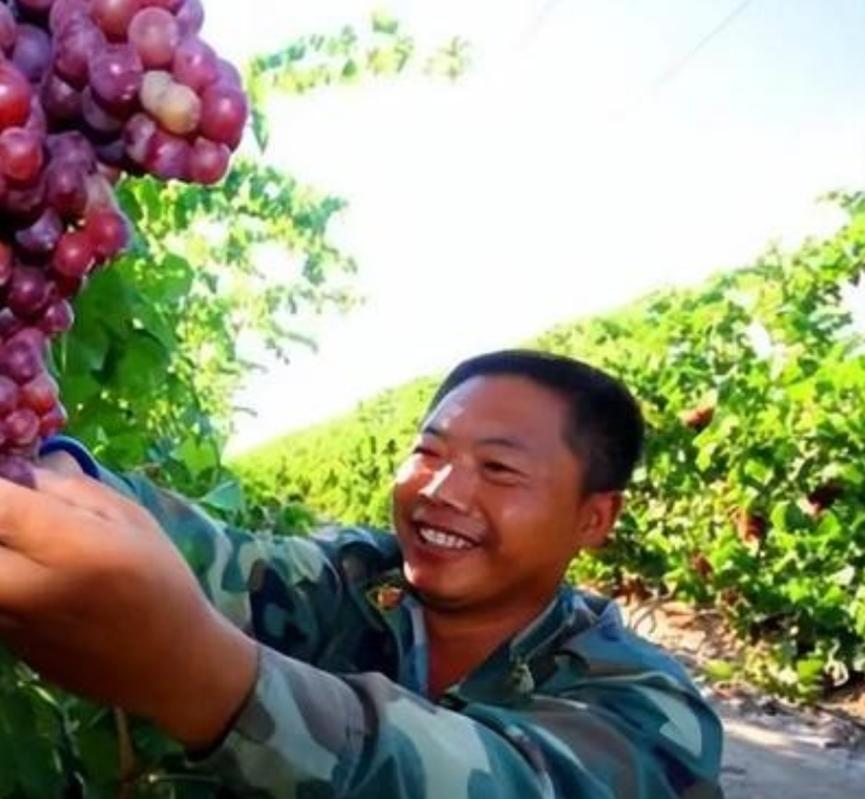 16年前，山西“煤老板”斥巨资6个亿，在万亩戈壁滩上，种下200万棵白杨树，8年