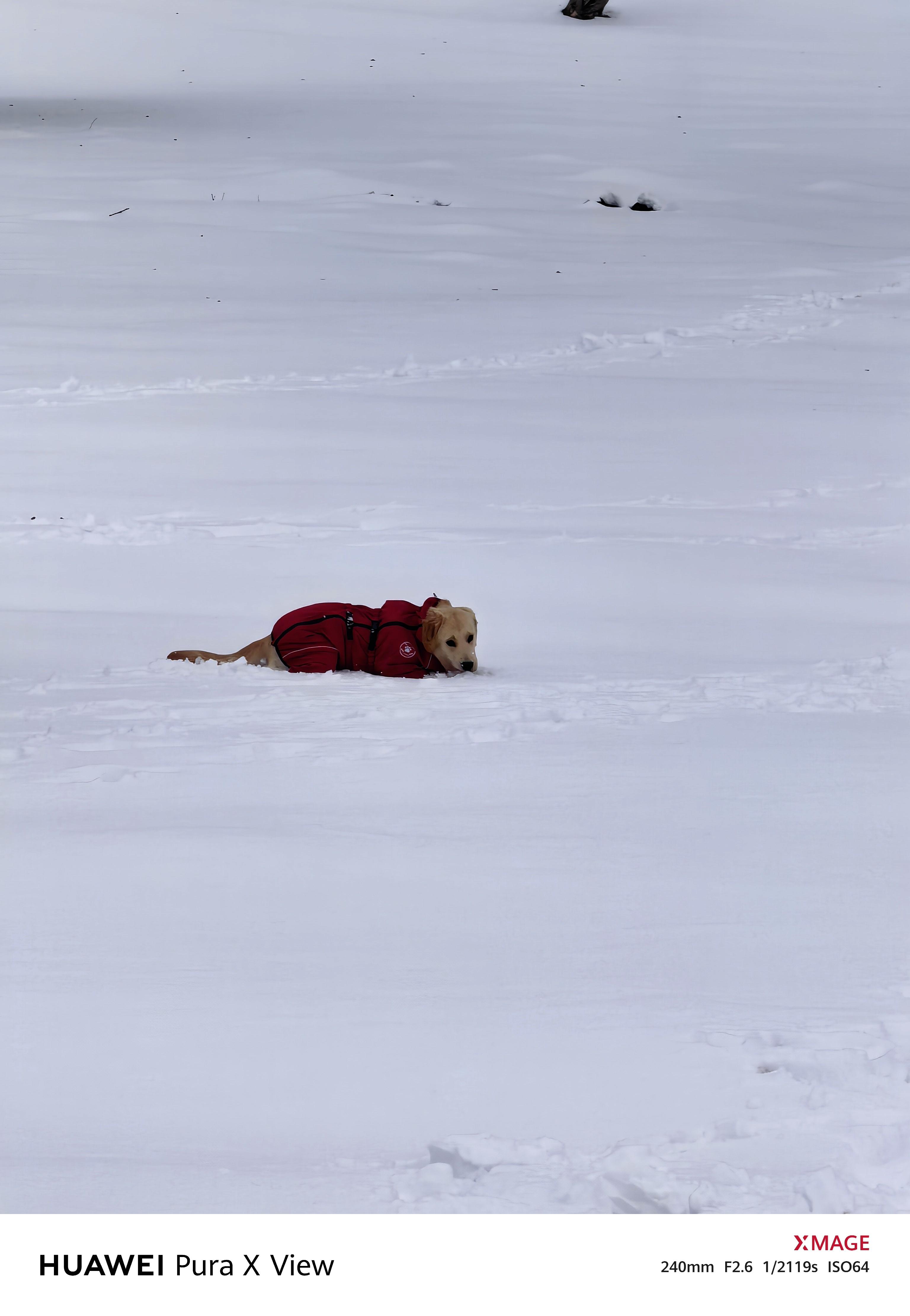 不是征服雪山，是雪山接纳了我的到访。  ​​​