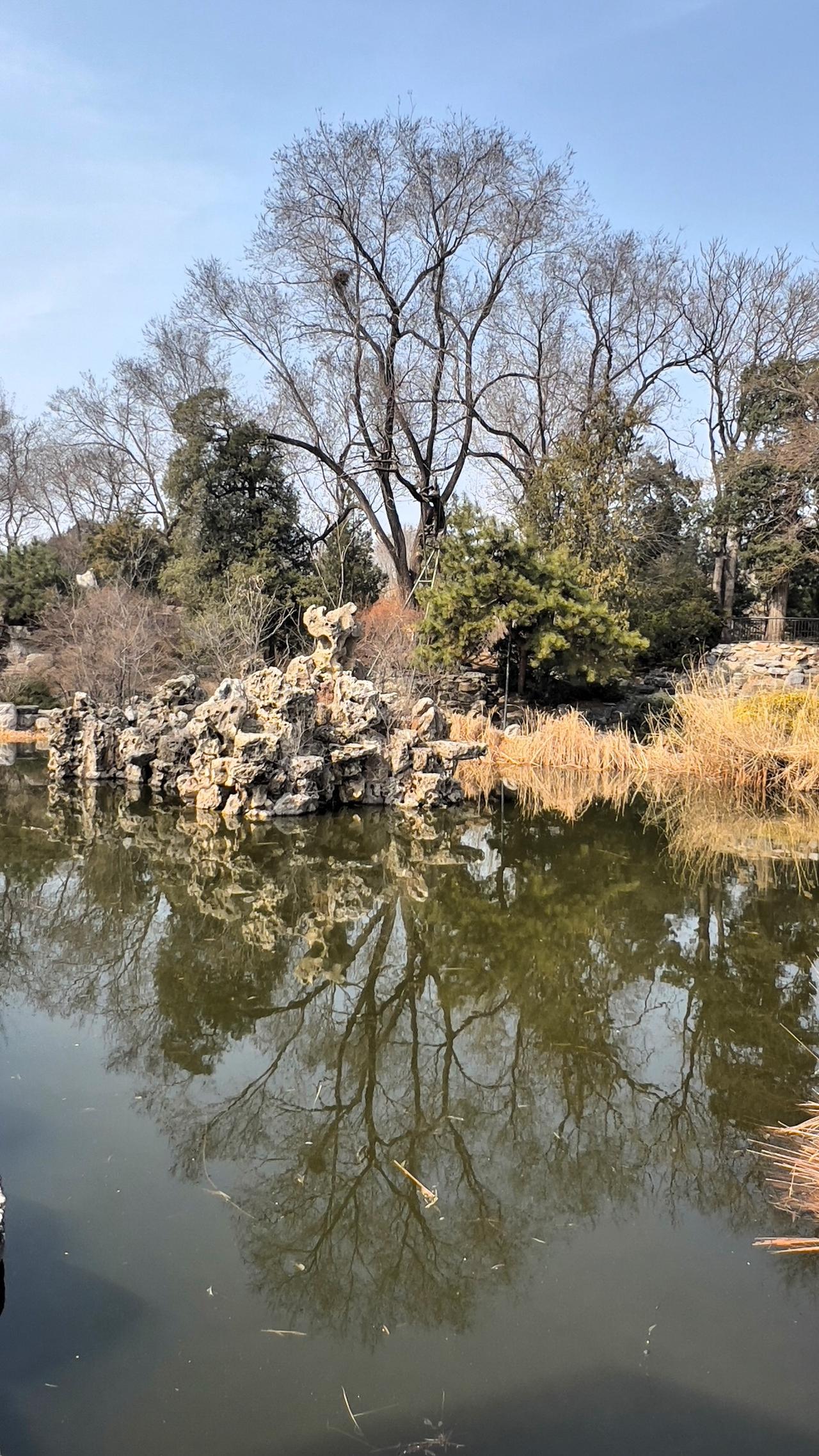 【原创】静谧的湖面倒映着光秃的树枝，仿佛时间在这一刻静止，期待春暖花开哦.