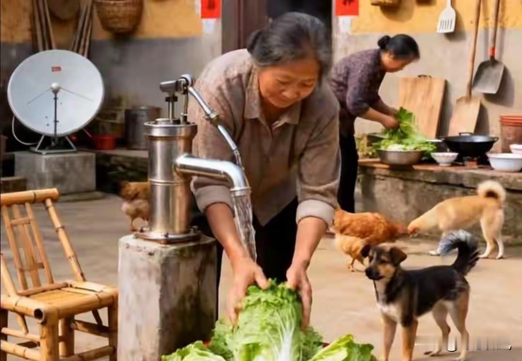 人老了，就剩一个人？按我说的做，绝对没错
 
身边不少老年人晚年孤身生活，伴侣离