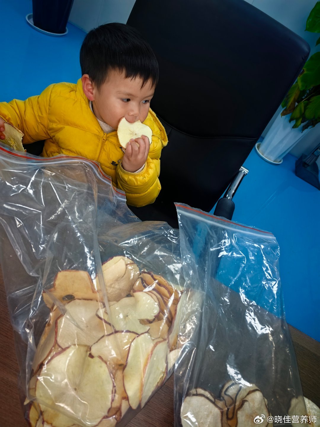 他很喜欢来工厂 因为原料间里面有很多好吃的这个苹果干做袋泡茶用的