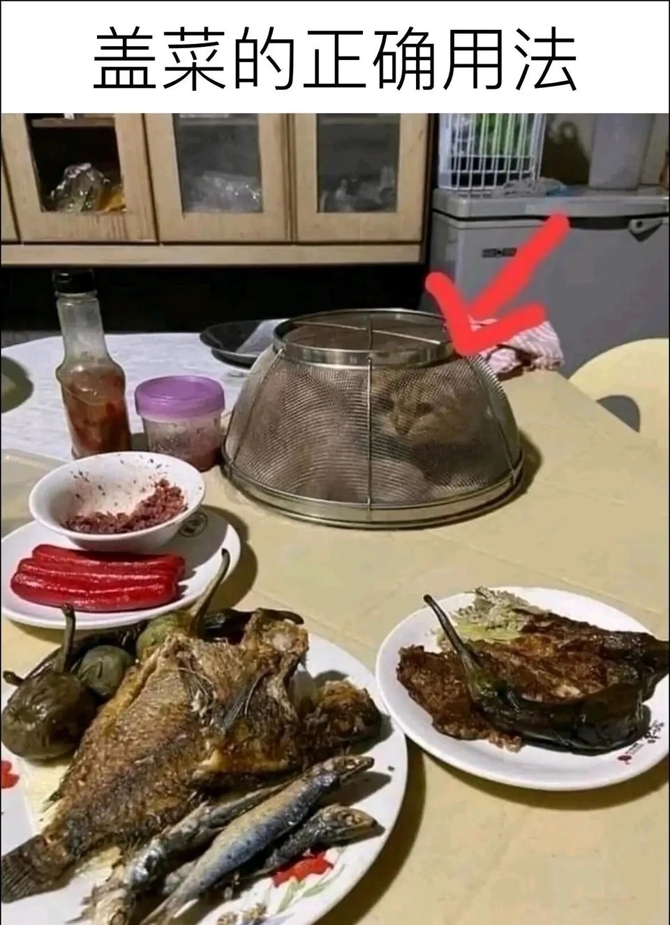 过年了罩子的用处 ​​​