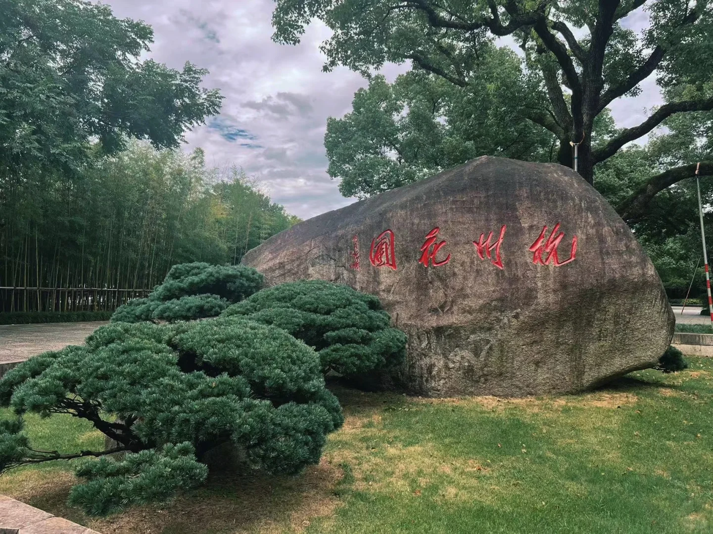 梦觉庭院⛅️闲度暑日花圃意正浓🌿