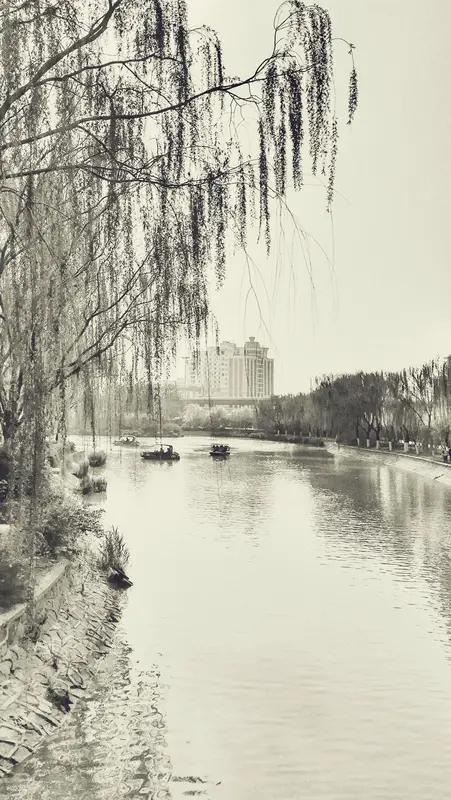 友对诗的深度解析着实厉害！就拿这句诗来说，寥寥数语，经友一番分析，便将对心爱之人